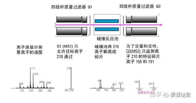 半岛体育《爱求索》之成药性评价基础篇——药物的分析_药代动力学检测(图2)