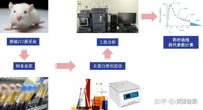 半岛体育《爱求索》之成药性评价基础篇——药物的分析_药代动力学检测(图5)