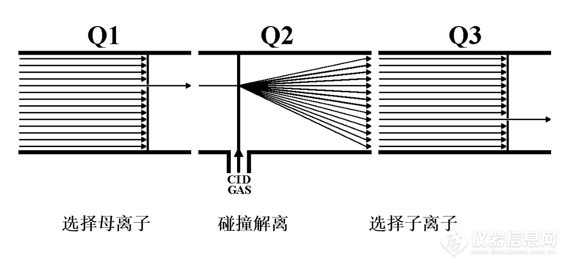 半岛体育聚浪成潮 以待花开质谱国产替代之路有多长？——皖仪分析事业部总经理程小卫(图20)