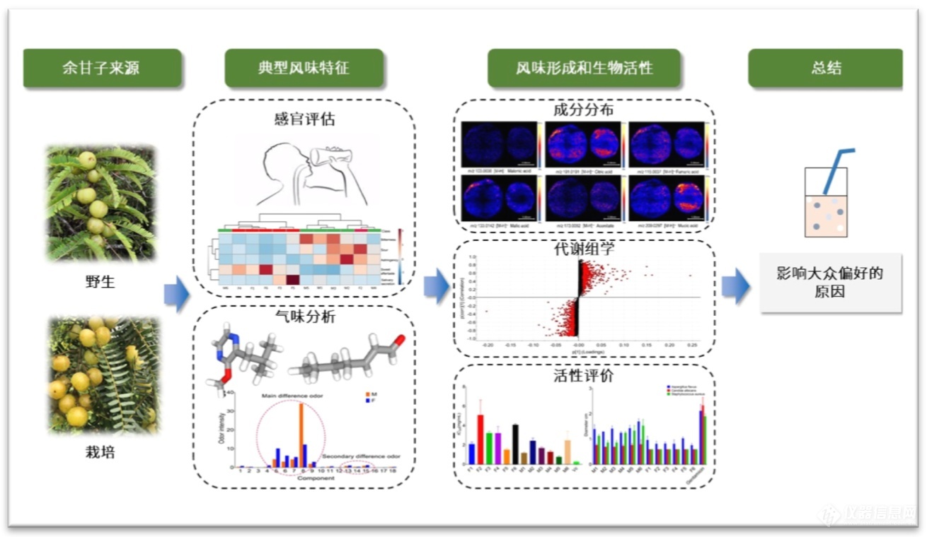 半岛体育岛津气味分析系统丨助力填补余甘子品质差异研究空白(图5)