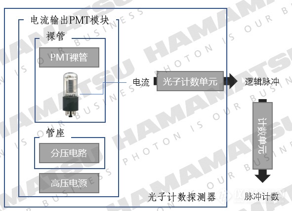 关于光电倍增管半岛体育（PMT）模块的选型与使用(图2)